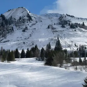 Les Amborzales Appartement Le Grand-Bornand